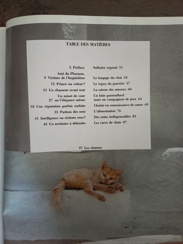Livre "le chat et nous" - photo numéro 3