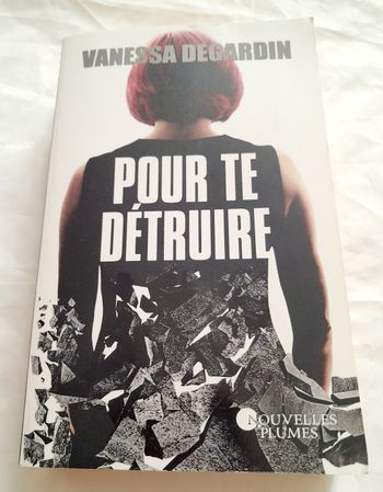 Pour te détruire Vanessa Degardin