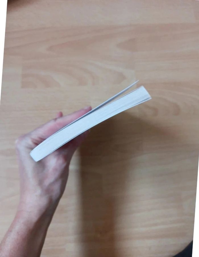 Le bonheur est dans le travail - photo numéro 6