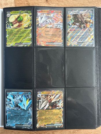 Cartes ex Flamme Blanche Foudre Noire