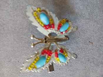 barrette papillon coloré