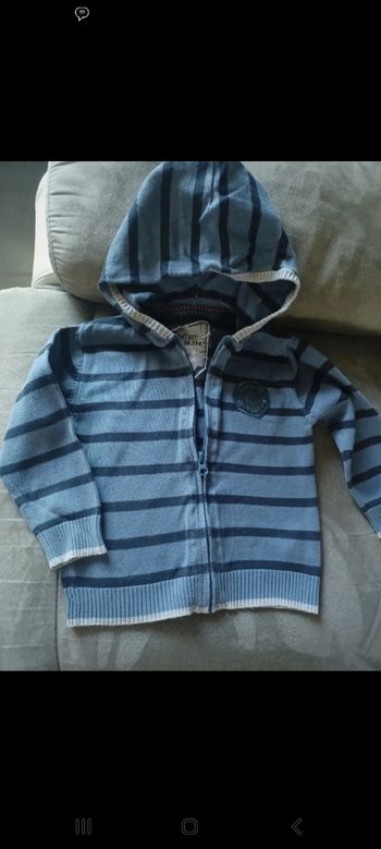 Gilet capuche Grain de Blé