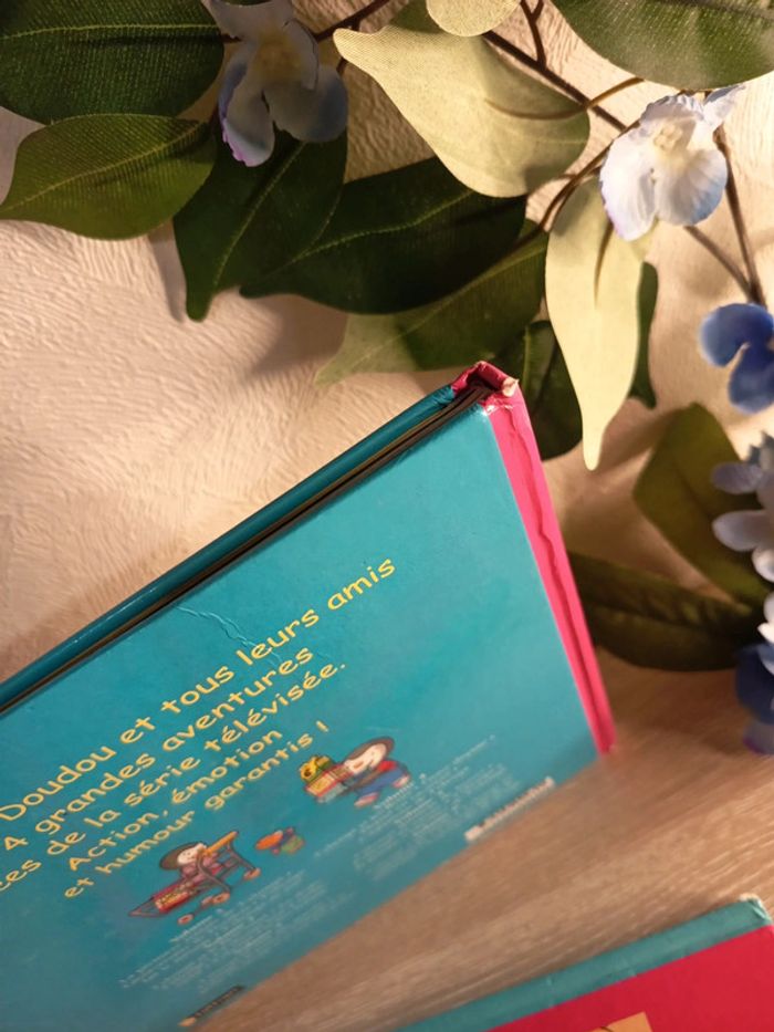 Lot de 2 livres - Les aventures de T'choupi - Tome 5 & 6 - photo numéro 11