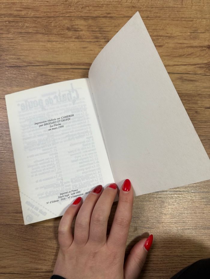 Chair de poule – Les épouvantails de minuit – R.L. Stine bon état - photo numéro 4