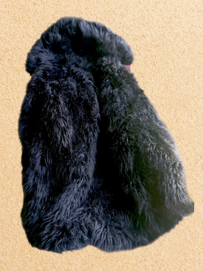 Parka femme taille M - photo numéro 3
