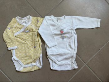 Lot bodies