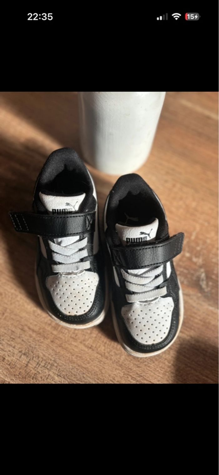 Puma bébé - photo numéro 2