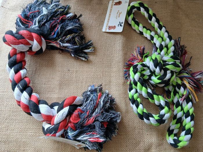 Lot de 3 jouets pour chien 2-10kg - photo numéro 5