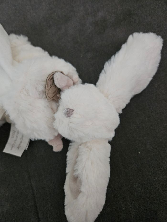 Doudou - photo numéro 3
