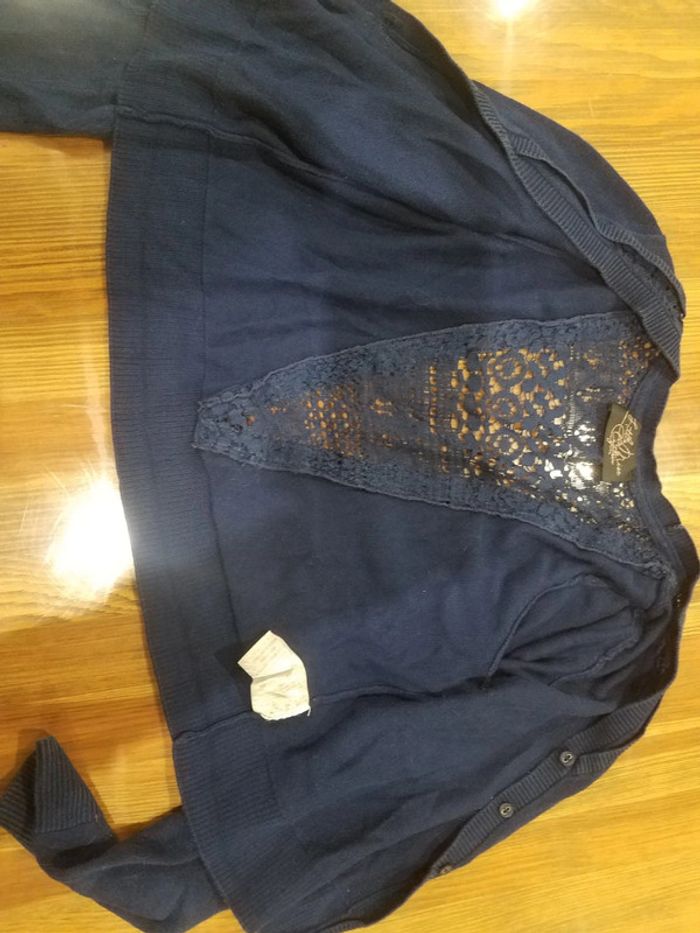 Gilet bleu - photo numéro 3