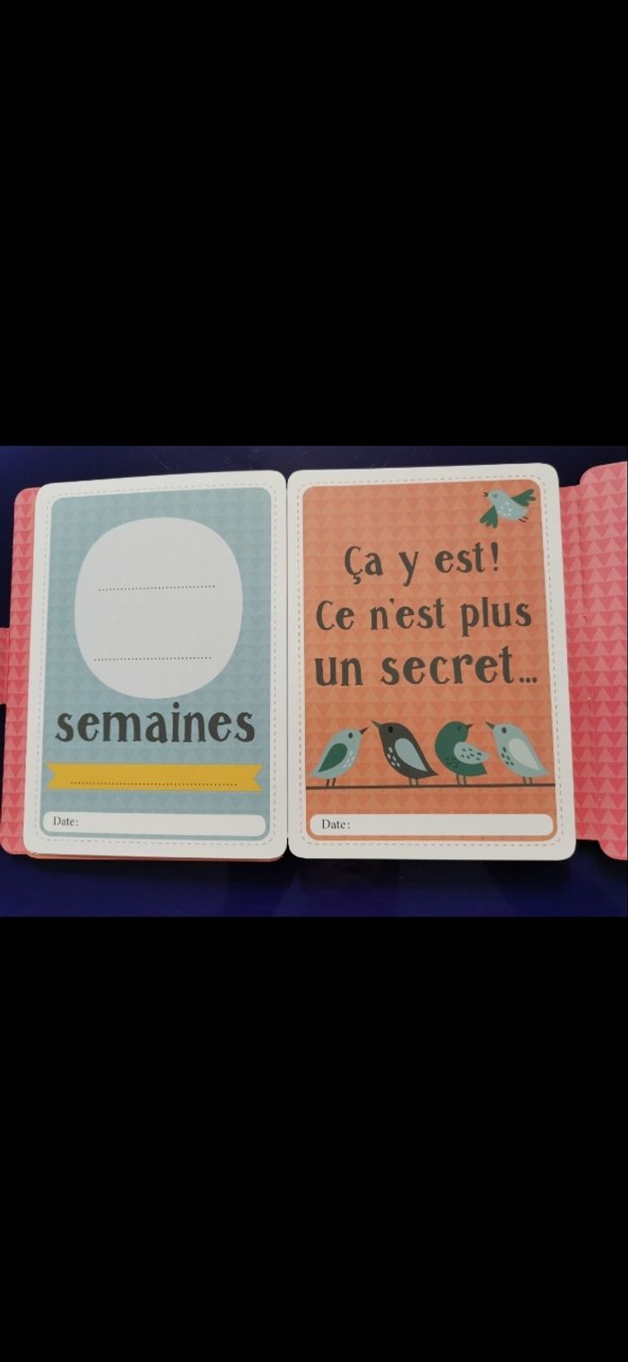CARTES SOUVENIRS EN ATTENDANT BÉBÉ - photo numéro 8