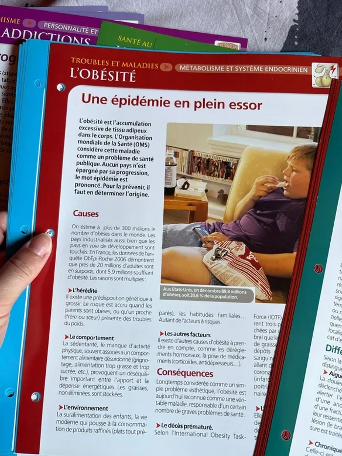 Lots de fiches anatomie physiologie santé - photo numéro 4