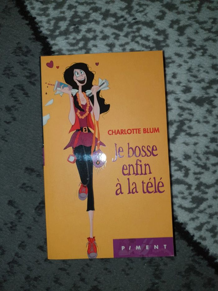 Livre "Je bosse enfin à la télé"