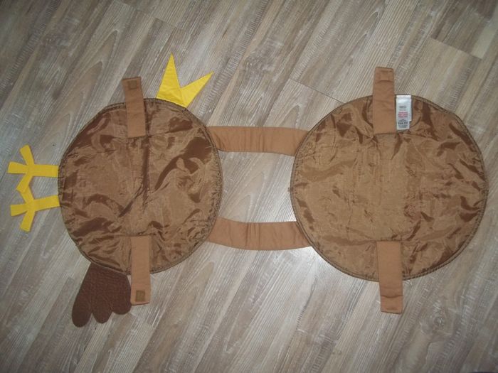 Déguisement oiseau-gâteau - photo numéro 4