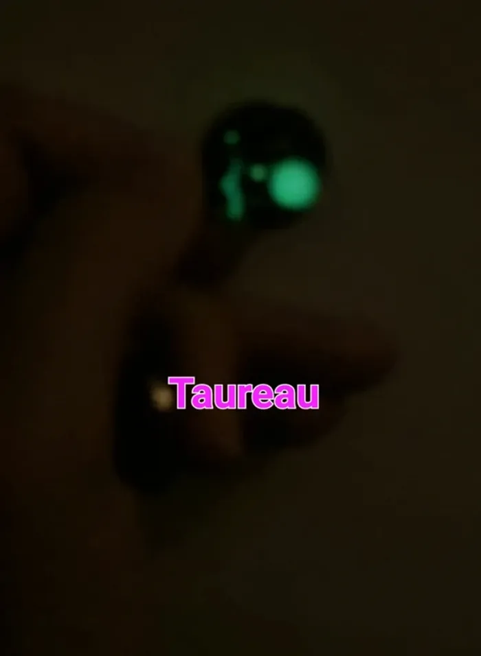 Porte-clés signe astrologique taureau - photo numéro 4