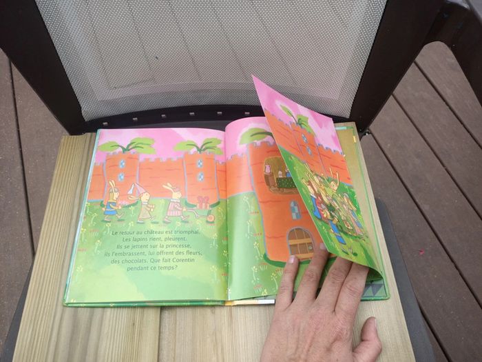 On a enlevé la princesse lapine - photo numéro 6