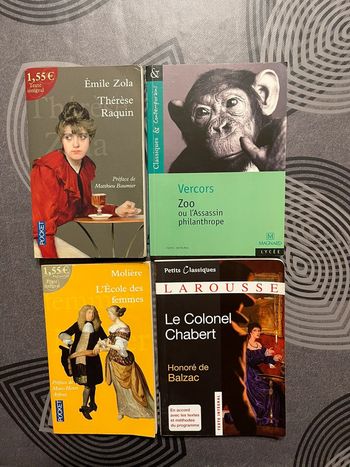 Lot livres lycée
