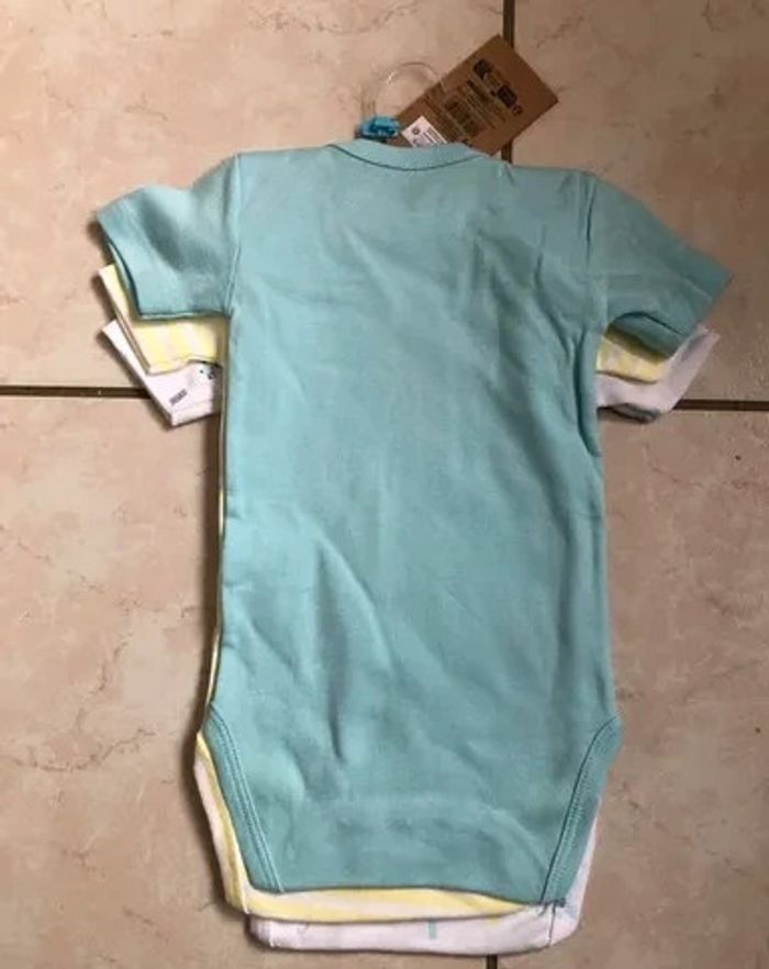 Lot de 3 Bodies manches courtes fille Sincere coton bio T 6 mois neufs dans emballage - photo numéro 2