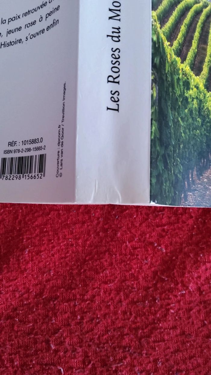 Les Roses du Montfort - photo numéro 6