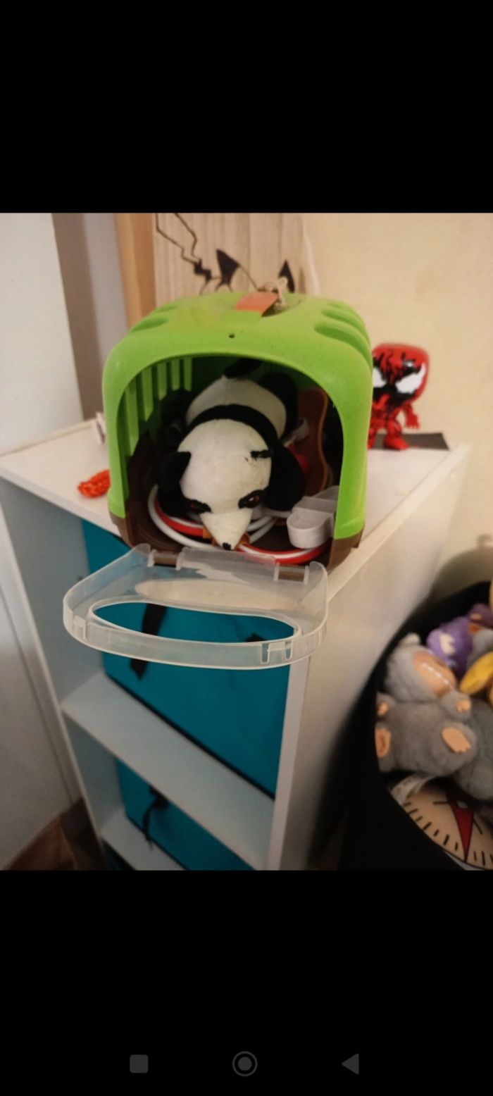 Vétérinaire panda beauval - photo numéro 2