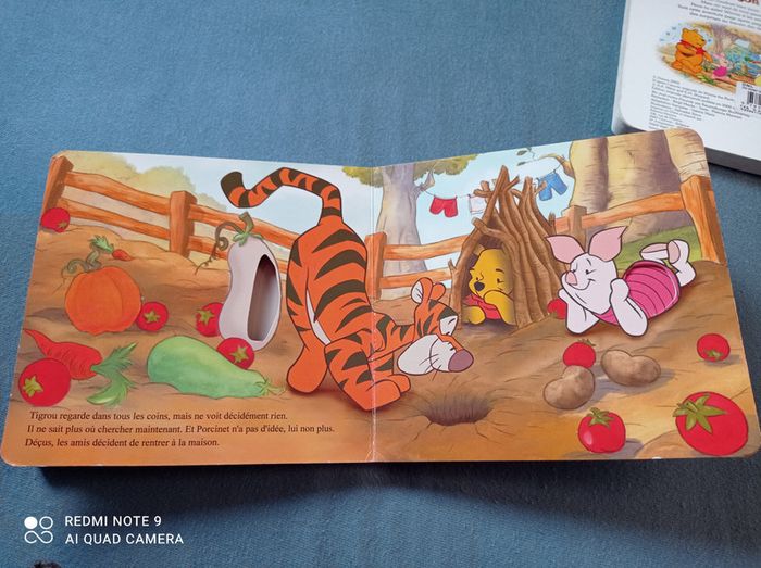 Lot de livres à trous Winnie l'ourson, éditions Hemma - photo numéro 3