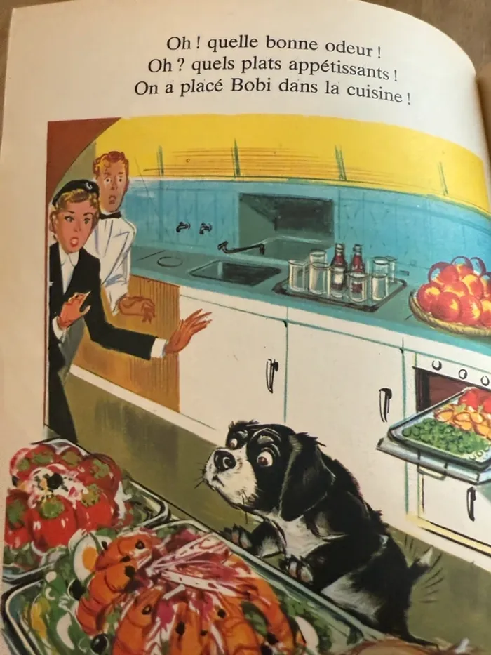 Livre album ancien reliure rouge Caroline voyage en avion Gentil Coquelicot Hachette cartonné - photo numéro 7