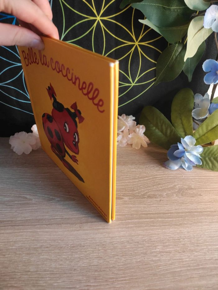 Belle la coccinelle – Drôles de Petites Bêtes – Gallimard Jeunesse - photo numéro 2