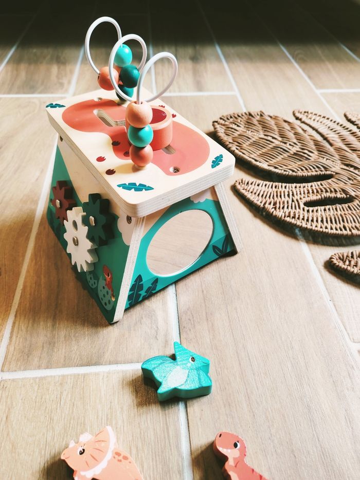 🦕 Boîte d'éveil multi activité 5 en 1 en bois marque Janod - photo numéro 4