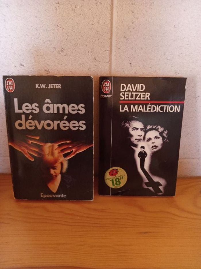 Lot de 2 romans épouvante