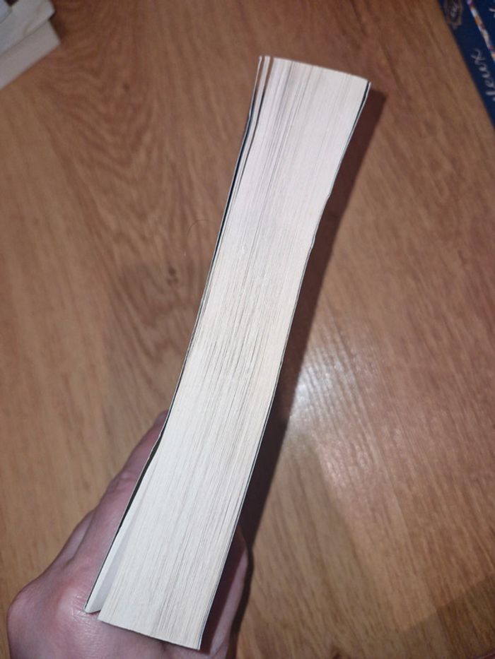 Philippe Pullman / a la croisée des mondes 1 / les royaumes du nord - photo numéro 4