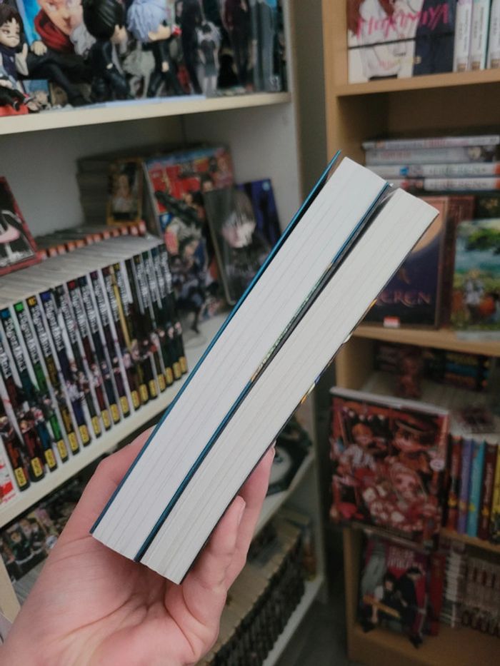 Lot deux romans du manga mashle - photo numéro 5