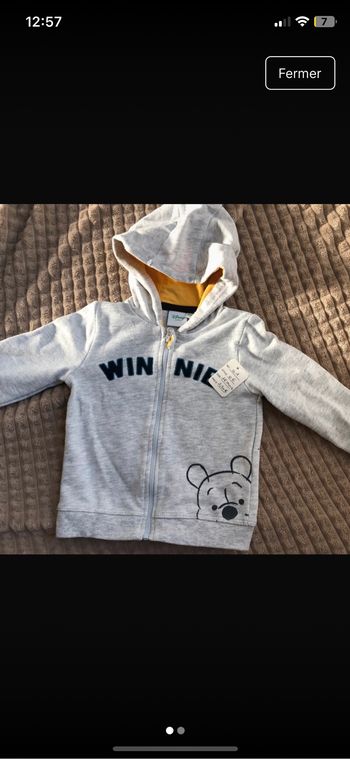 Veste zippée winnie
