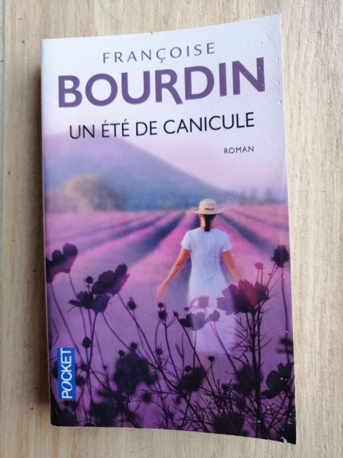 Roman Un été de canicule de Françoise Bourdin en bon état