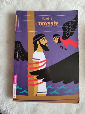 L Odyssee d Homere.