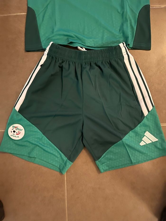 Ensemble coupe du monde 2026 Algérie - photo numéro 4