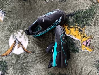 Puma mercedes