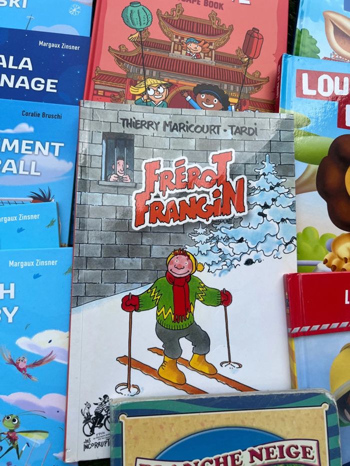 Gros lot de livres divers ( pas de vinted go ) - photo numéro 13