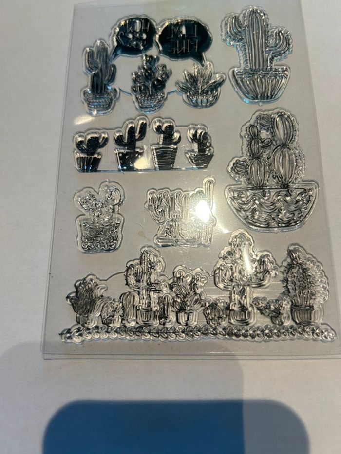 Tampons neufs cactus