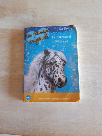 Le carrousel magique - Sue Bentley