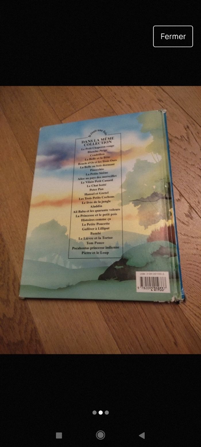 Livre Pocahontas - photo numéro 2