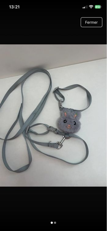 Harnais et laisse chat 