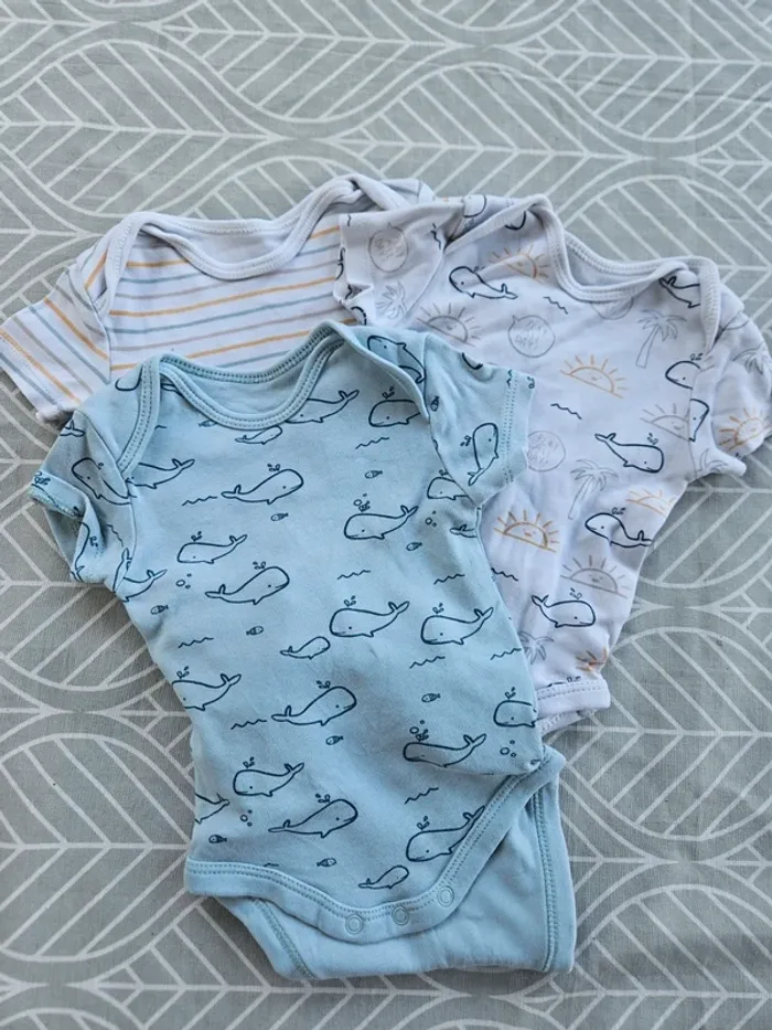 Lot de 3 bodies taille 2-3 mois 🌸