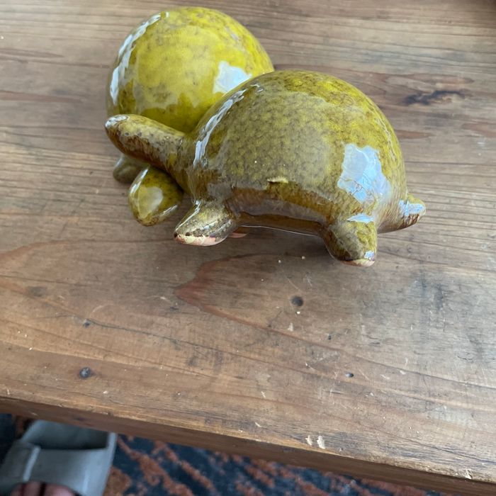 Tortues - photo numéro 2