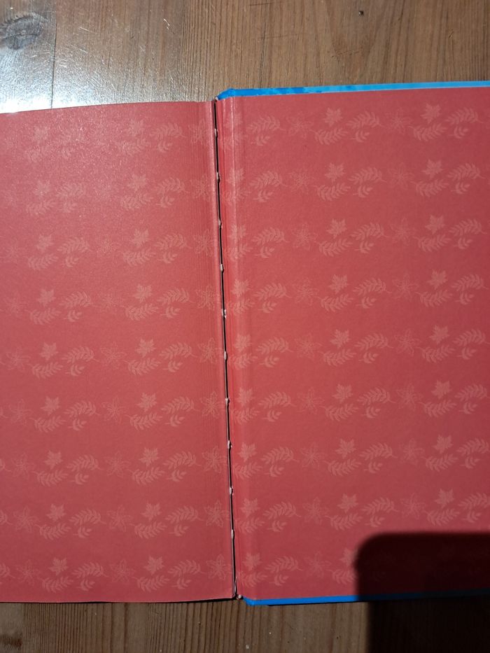 Livre La Reine des neiges 2 - photo numéro 6