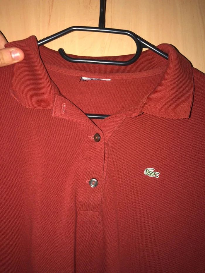 POLO Lacoste - photo numéro 2