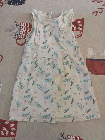 Robe perroquet 