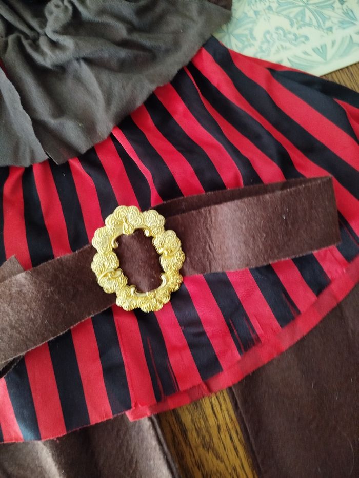 Déguisement pirate - photo numéro 3