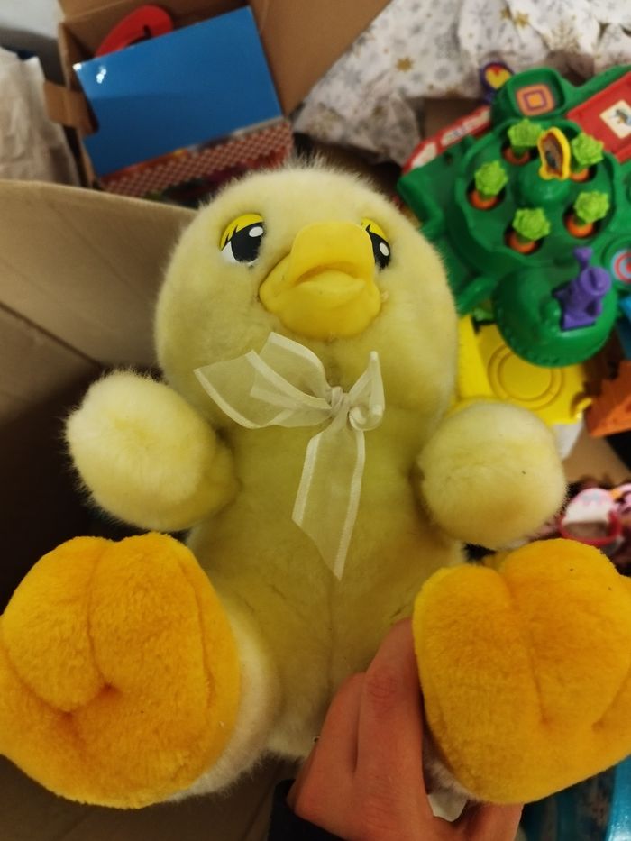 Peluche - photo numéro 9