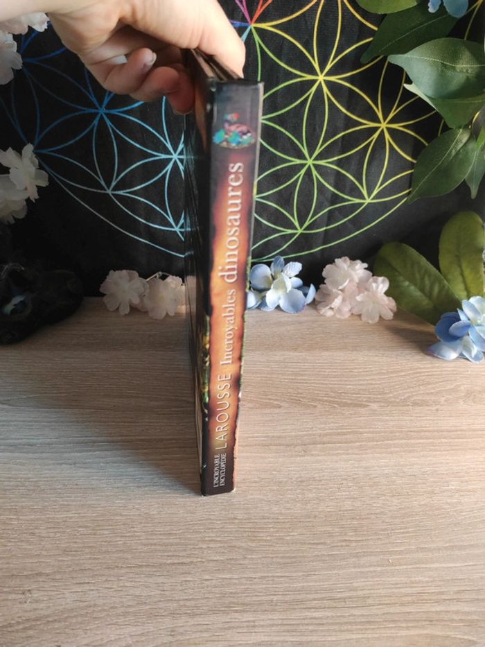 Incroyables dinosaures – L'incroyable encyclopédie – Larousse - photo numéro 4