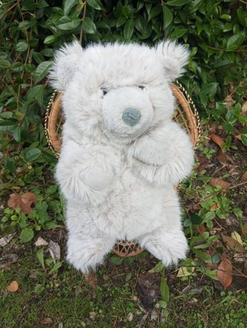 Nounours peluche